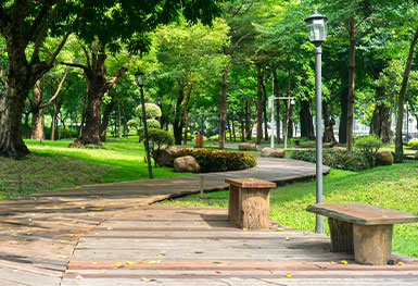 Park